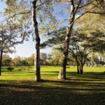 Pilih Palet Warna untuk Bangun Tenang