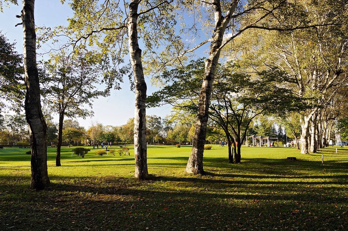 Pilih Palet Warna untuk Bangun Tenang