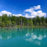 Menciptakan Suasana Cahaya yang Ramah Pagi